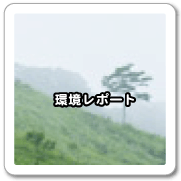環境レポート